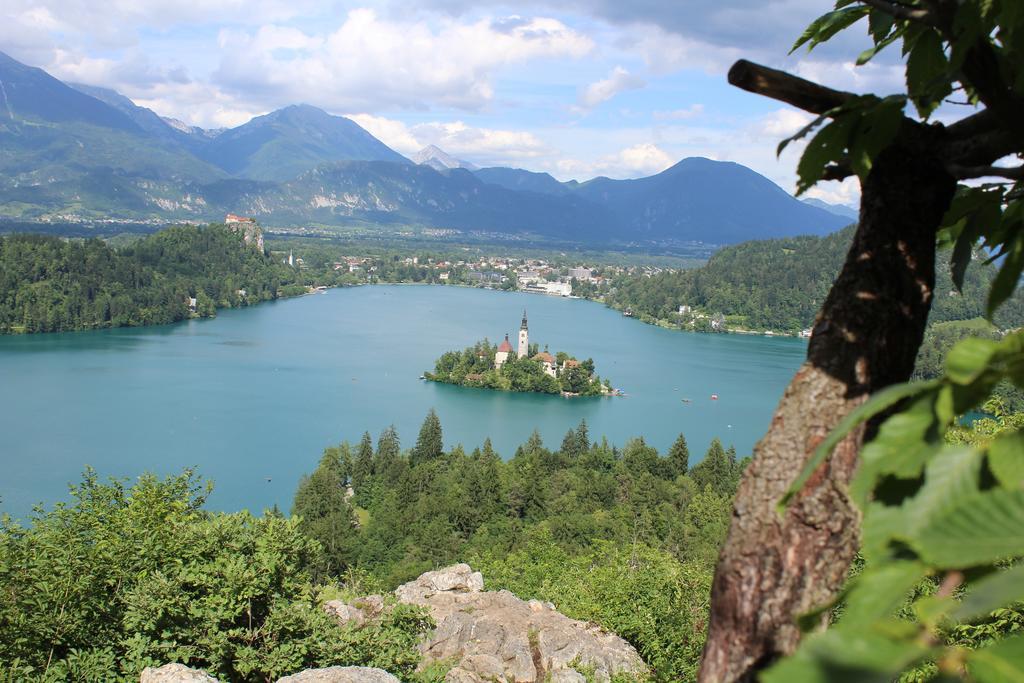 Apartma Neza Bled Zewnętrze zdjęcie