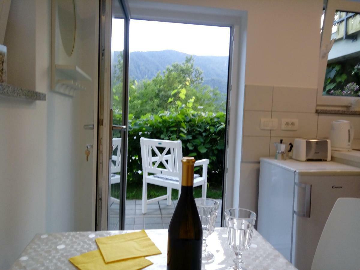 Apartma Neza Bled Zewnętrze zdjęcie