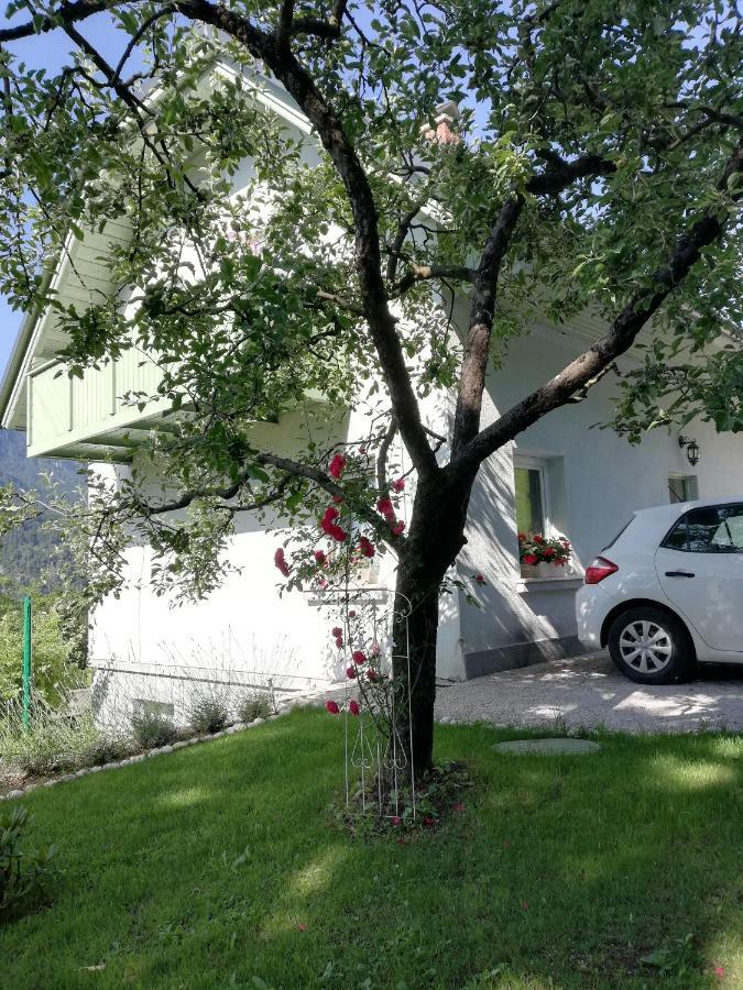 Apartma Neza Bled Zewnętrze zdjęcie